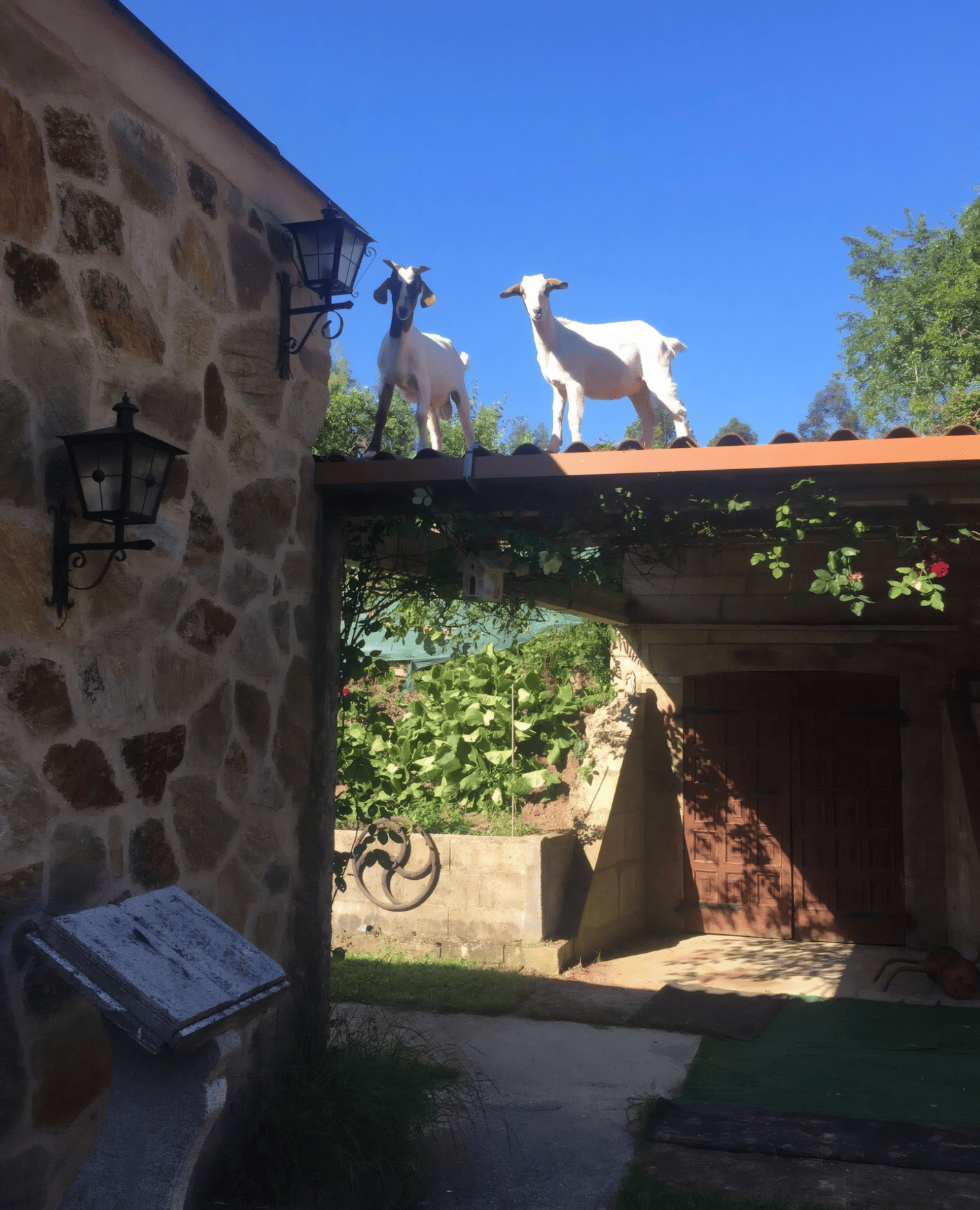Finca Anduriñas — Camino de Santiago